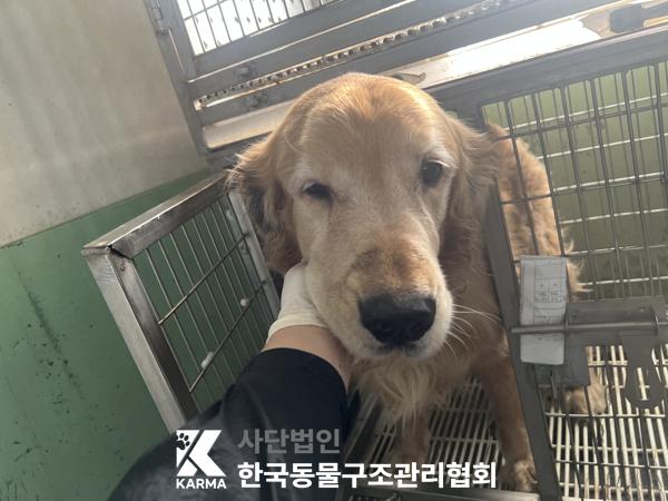 한국동물구조관리협회_411315202500577